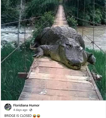 1727461864631.png