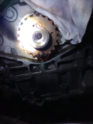 IMG_20240926_sprocket.jpg