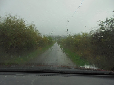 DSC08350.JPG