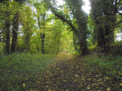 DSC08363.JPG