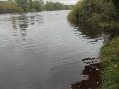 DSC08367.JPG