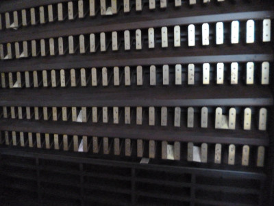 P1090171.JPG