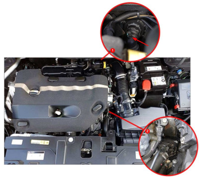EngineBay-Bleeding-SM.jpg