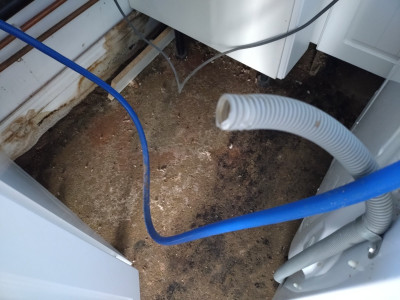 A broken washing machine drain hose
