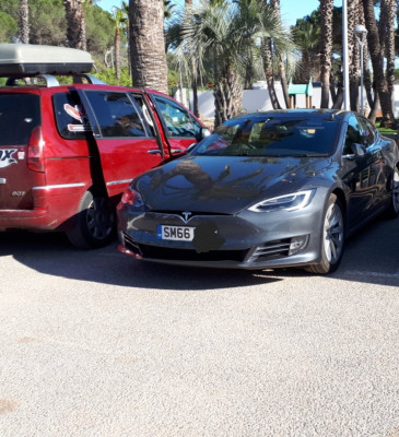 Tesla tourist