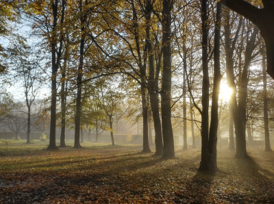 A misty morning - own work