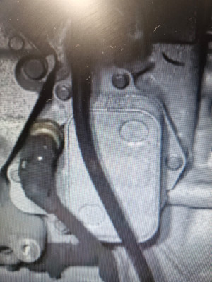 Oil cooler.jpg