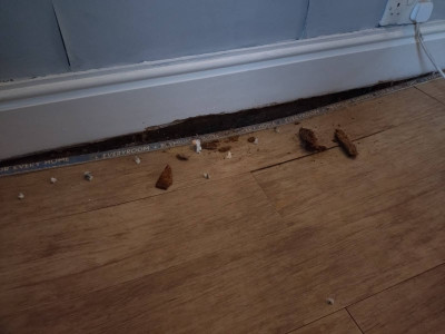 MTMO the hole beneath the skirting