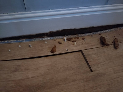 MTMO  the sinking laminate