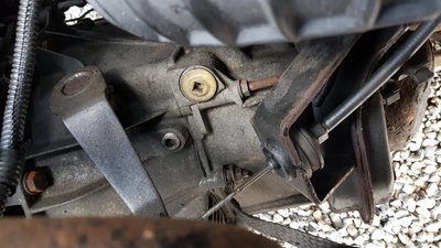 20180409_165648.jpg