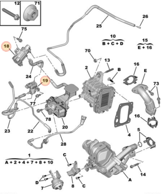 expert egr valves.png