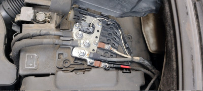 IMG_20241203_123359882.jpg