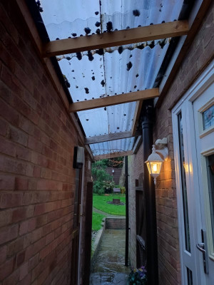 The roof in question