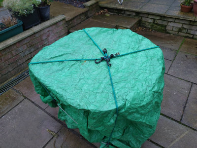 Table cover bungee