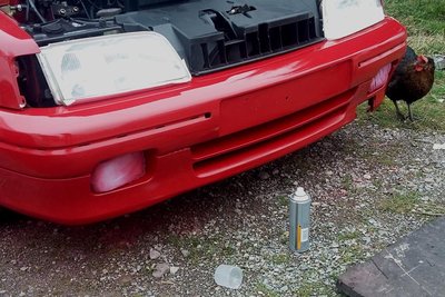 20180412_123029.jpg