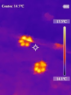 IR20241227195226.jpg