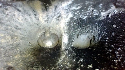 my own photo