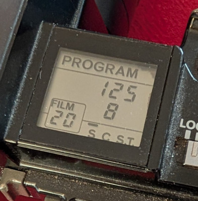 PXL_20250110_091017634.jpg