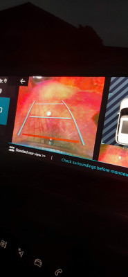 Reversing camera image.jpg