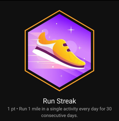 Garmin Badge