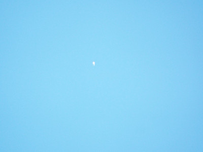 2025_0130_10373300.jpg