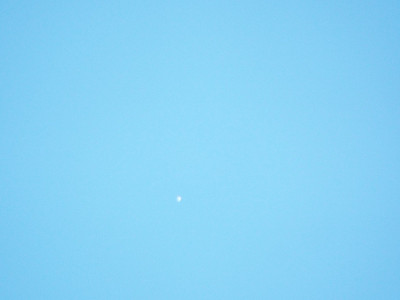 2025_0130_10372600.jpg