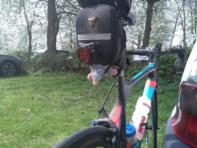 bikerat.jpg (192.82 KiB) Viewed 138 times Own Work