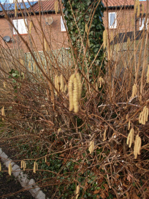 AA011283.JPG