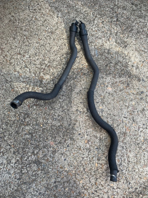 IMG_4279.jpeg