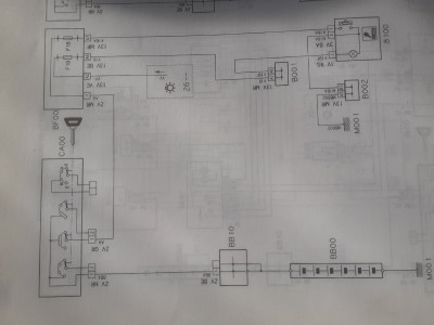 20250304_093919.jpg
