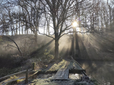 Cold and misty morn - own work