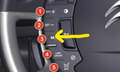 cruise pause.png