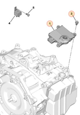 gorax am6 ecu.png
