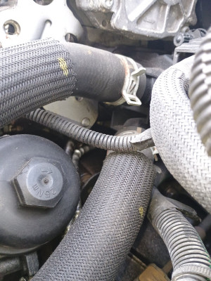 Not too oily under vac pump