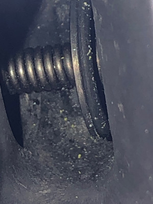 Skull’s - EGR visible valve