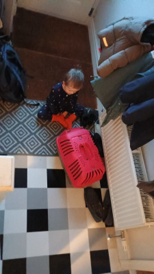 IMG-20250218-WA0004.jpeg