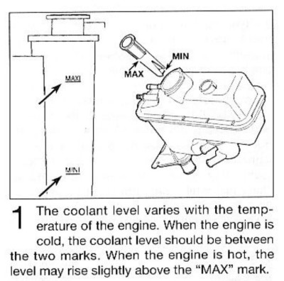 Haynes.jpg