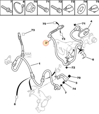 Roth rear abs.png