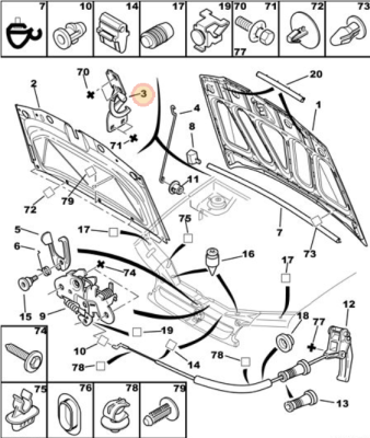 old b bonnet hinges.png