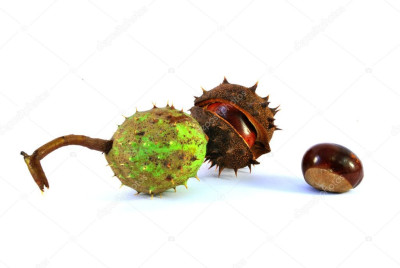 depositphotos_7309046-stock-photo-tree-stages-of-concer-life.jpg