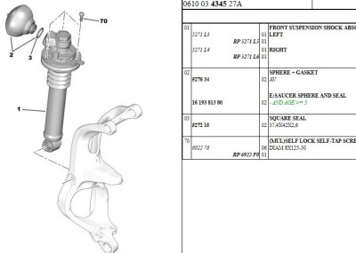 x7Strut.JPG
