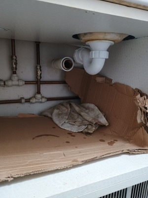 Shallow bath trap