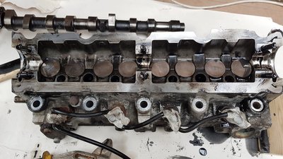 20180501_185611.jpg