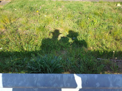 A bit of not very good shadow art