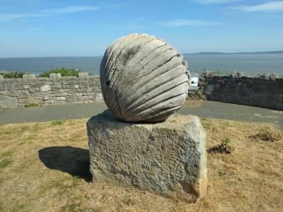 The shell wood sculpture