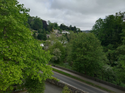 Looking out from my room