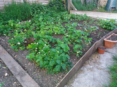 20180505_201000.jpg