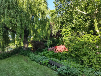 Mostly greenery - own work
