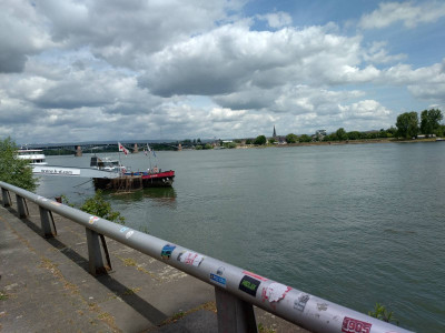 The Rhine upstream