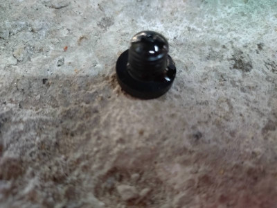Radiator drain plug